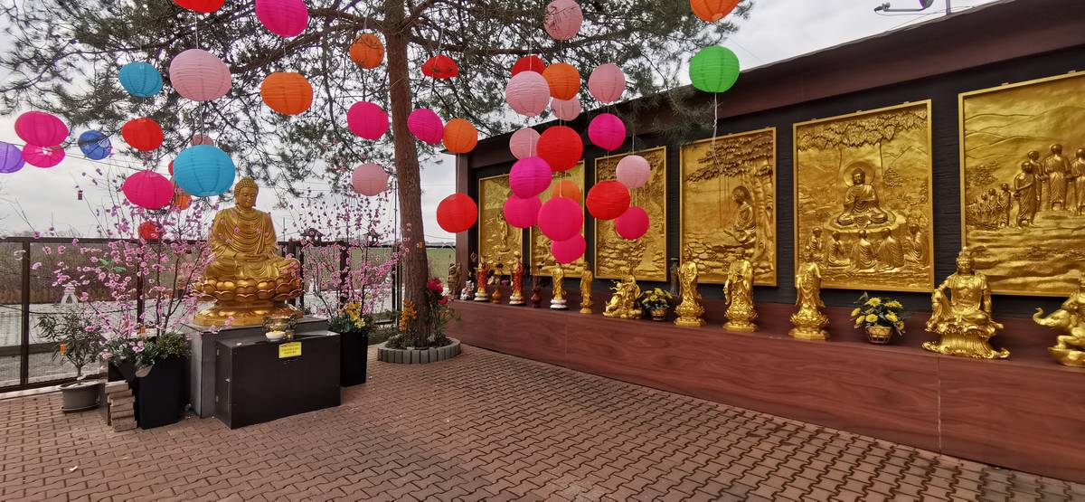 Voní tu kuchyně jihovýchodní Asie, občas zasmrdí motor staré dodávky, auta parkují všude včetně těch nejluxusnějších. Obří areál Sapa v pražské Libuši měl kdysi kontroverzní pověst a byl nepřístupný. Už roky sem ale může každý a po covidových omezeních se vrátili i zájemci o exkurze za vietnamskou kulturou, náboženstvím a hlavně gastronomií.