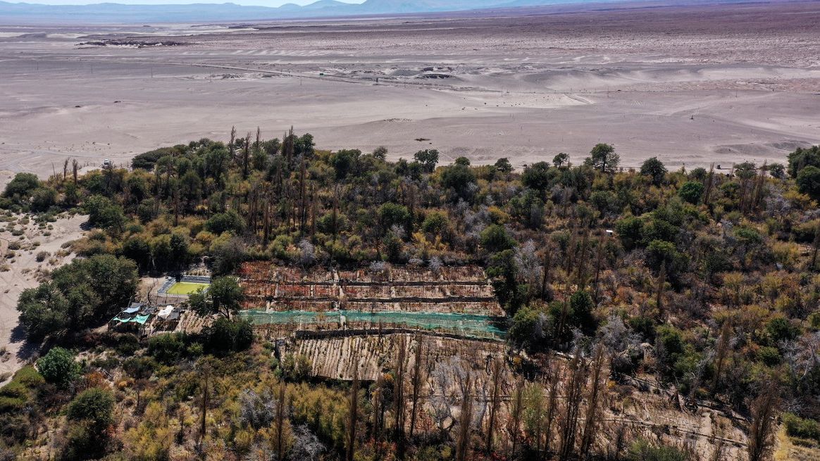 Fotky z Chile, kde pěstují víno v nejsušší poušti světa: Tak vypadá extrém