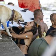 Zasurfovat si tady může každý příchozí. Zájemci si mohou půjčit i vybavení - tedy prkno a neoprén. Domluvit se dá i lekce s instruktorem.