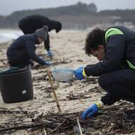 Podle výpočtů agentury EFE kontejner obsahoval zhruba 26 tun granulátu, který se používá například pro výrobu PET lahví.
(Na snímku dobrovolníci sbírají pelety na pláži Samil, 10. ledna ve španělském Vigu.)