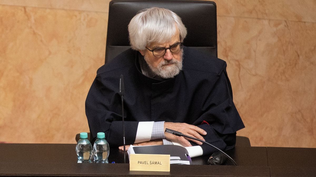 Vláda chce vyloučit soudce Šámala z rozhodování o kompetenční žalobě
