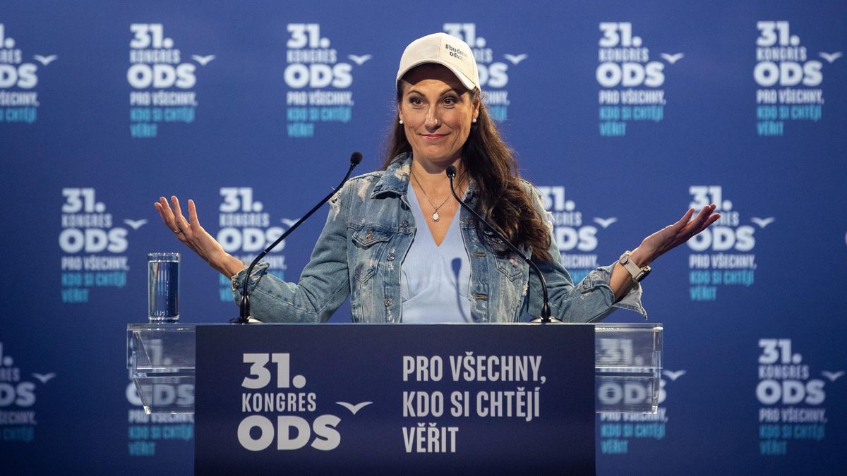 Senátoři jsou naštvaní na Decroix. Tají jim dokumenty k bitcoinové kauze
