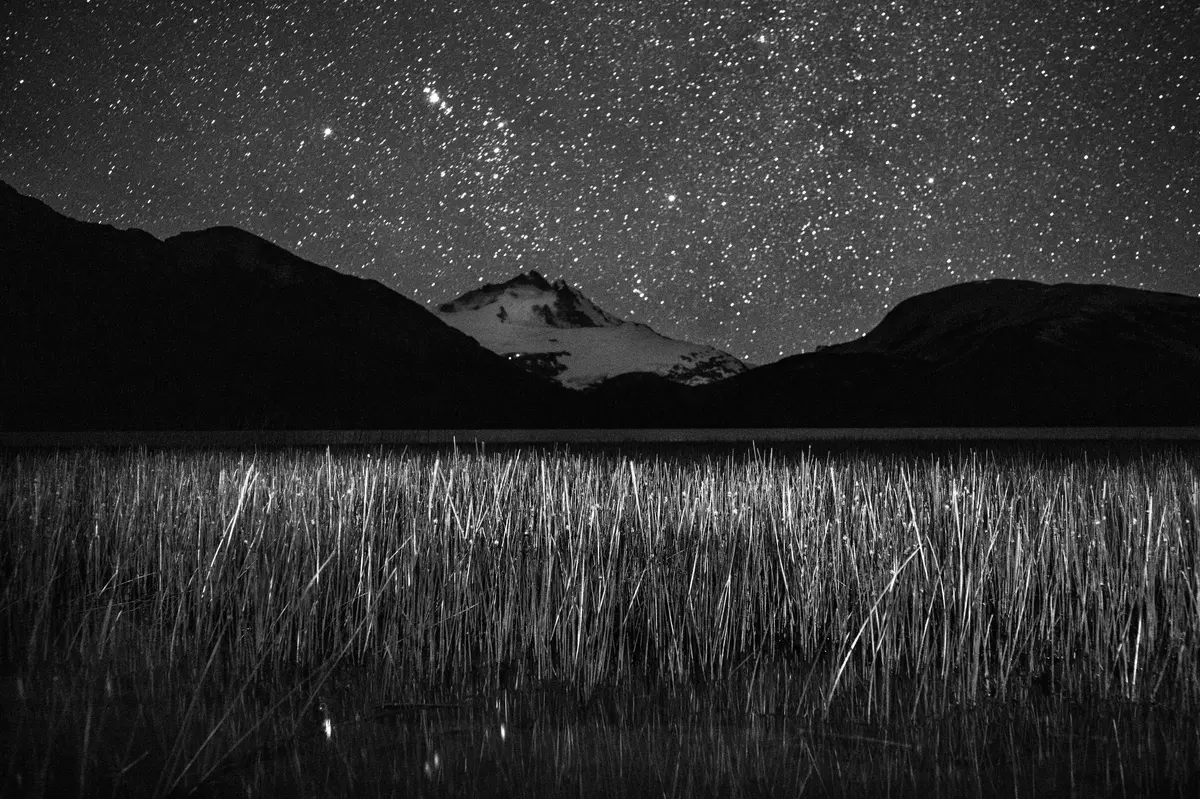 115_South America_Long-Term Projects_Pablo E. Piovano_Greenpeace Award_GEO_National Geographic Society