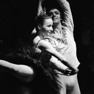 Vlastimil Harapes účinkoval zhruba v 50 různých tanečních představeních první scény. Tančil také na celé řadě světových baletních scén, od roku 1977 do roku 1983 byl stálým hostem v Německé porýnské opeře v Düsseldorfu a Duisburgu. (Na snímku Marta Drottnerová a Vlastimil Harapes, Labutí jezero, 1975.)