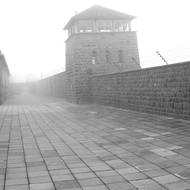 Koncentrační tábor Mauthausen. Jako msta nacistů za Heydrichovu smrt zde bylo ve dnech 24. 10. 1942, 26. 1. 1943 a 3. 2. 1944 povražděno 294 českých mužů, žen a dětí. Příbuzných sedmi parašutistů ukrývajících se v kryptě anebo jejich pomocníků z odboje.