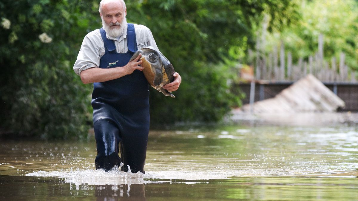 I pražská zoo se chystá na povodeň, poučila se z minulých let