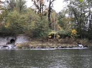 Do Bečvy v okolí Valašského Meziříčí tečou odpadní vody mnoha výpustmi. Rybáři i někteří experti zpochybňují policejní verzi. Ryby podle nich hynuly až tři kilometry po proudu řeky nedaleko Choryně.