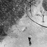 Metelice, 1956: „To byla zvláštní shoda okolností. V té době jsem nastoupil do Státního archivu a byl jsem tam snad měsíc. A měl jsem komoru a kancelář, kde se taky fotily technické věci, a měl jsem okno, které ústilo právě směrem do České. Takže když se něco dělo a já měl aparát po ruce, tak jsem to udělal. A jednoho dne vznikla taková šílená metelice a já jsem jen otevřel okno a nafotil řadu snímků. A jeden z těch šesti nebo sedmi, co jsem udělal, dostal druhou cenu v soutěži Kodak World Competition v roce ’57.“