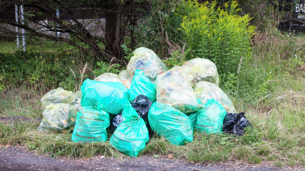 Dobrovolníci v Česku budou dnes uklízet přírodu, města a obce