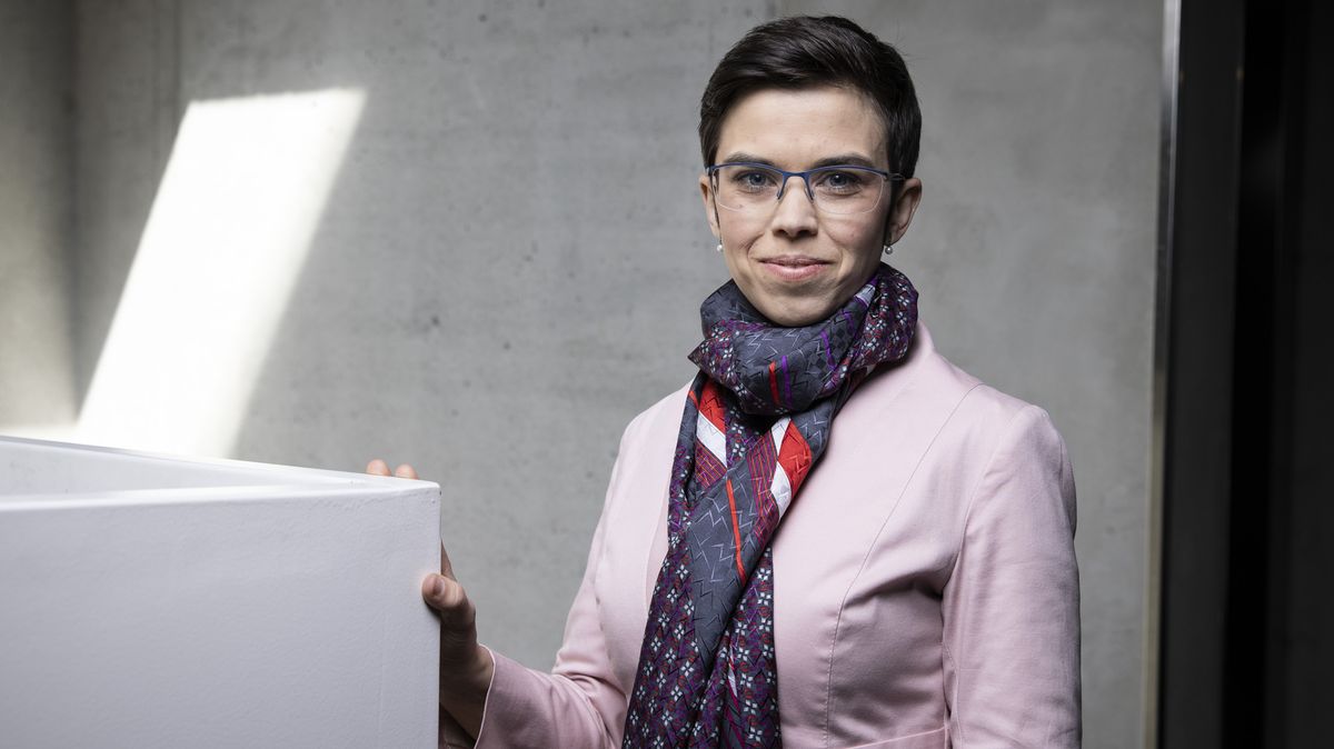 ANO vyšachovalo Piráty. Jak chtějí fungovat ve Sněmovně?