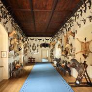 Africký sál je plný exotických zvířecích trofejí.