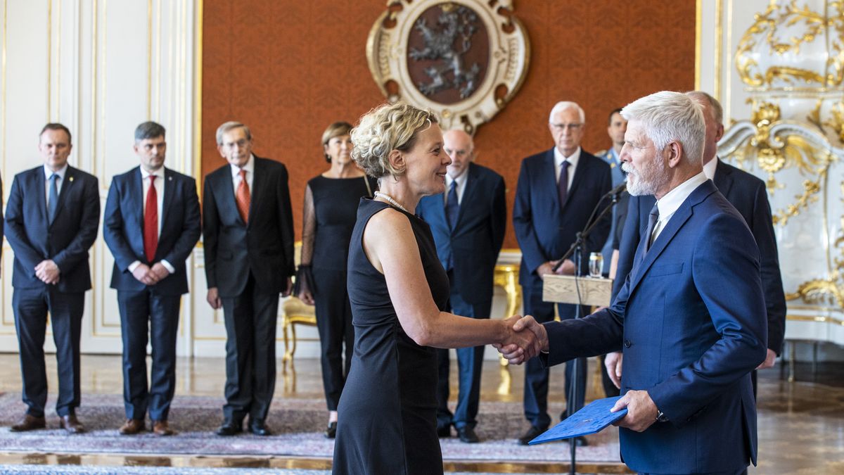 Komentář: Platy politiků jsou plýtvání energií. Ale oblíbené