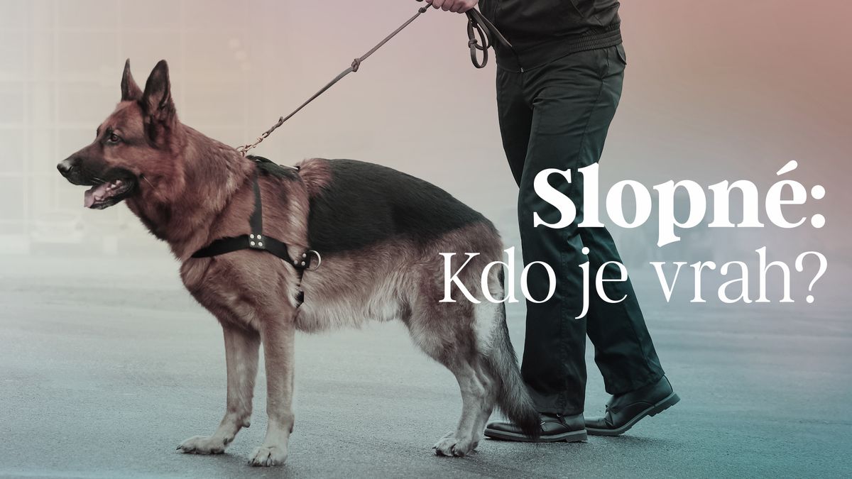 Pachové stopy hrály roli u tisíců případů. Jde mi mráz po zádech, říká expert