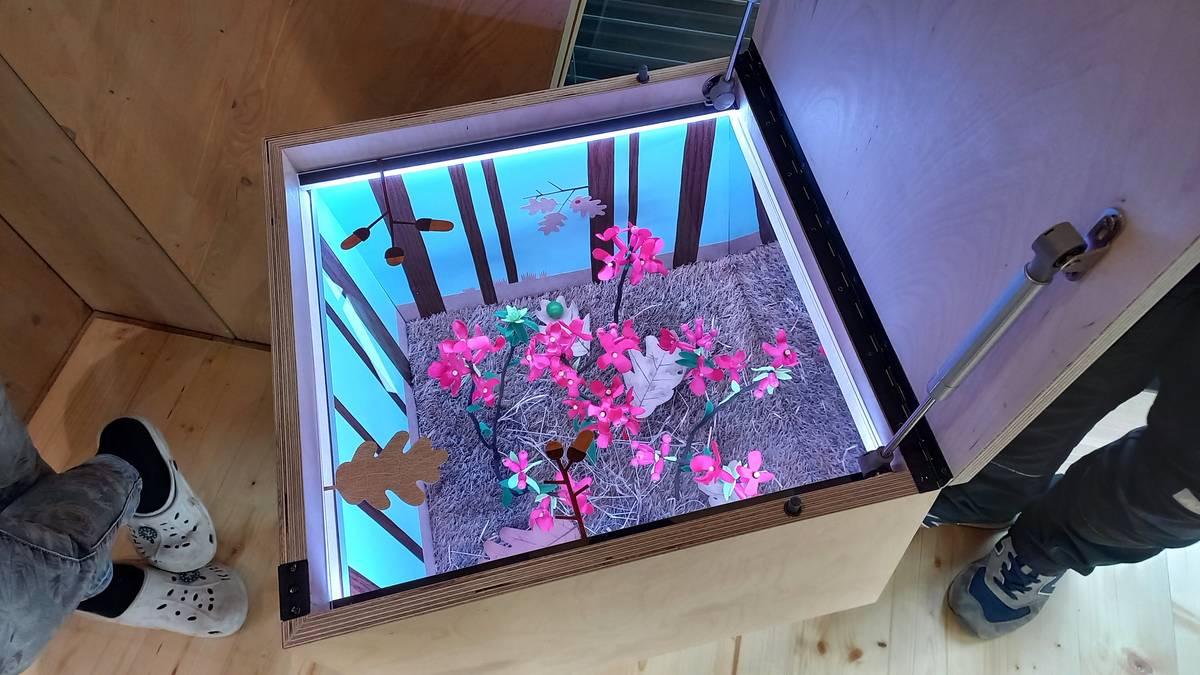 Nahlížení do „krabiček“.