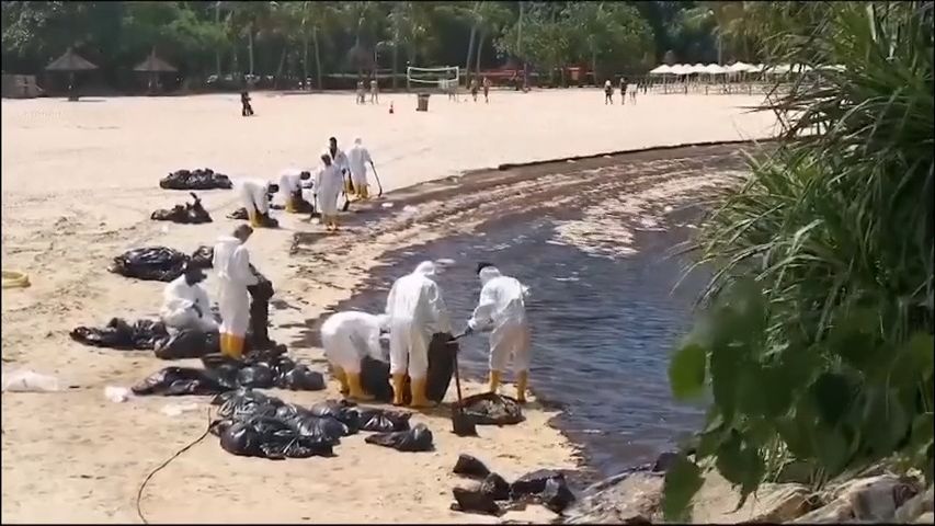 Video: Singapurské pobřeží ničí ropná skvrna. Úřady uzavřely většinu pláží