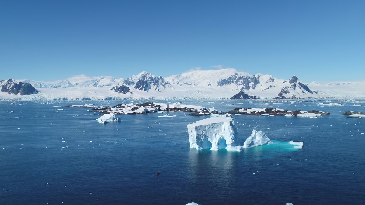 Okyselení oceánů sílí. Svět je na prahu překročení sedmé planetární meze