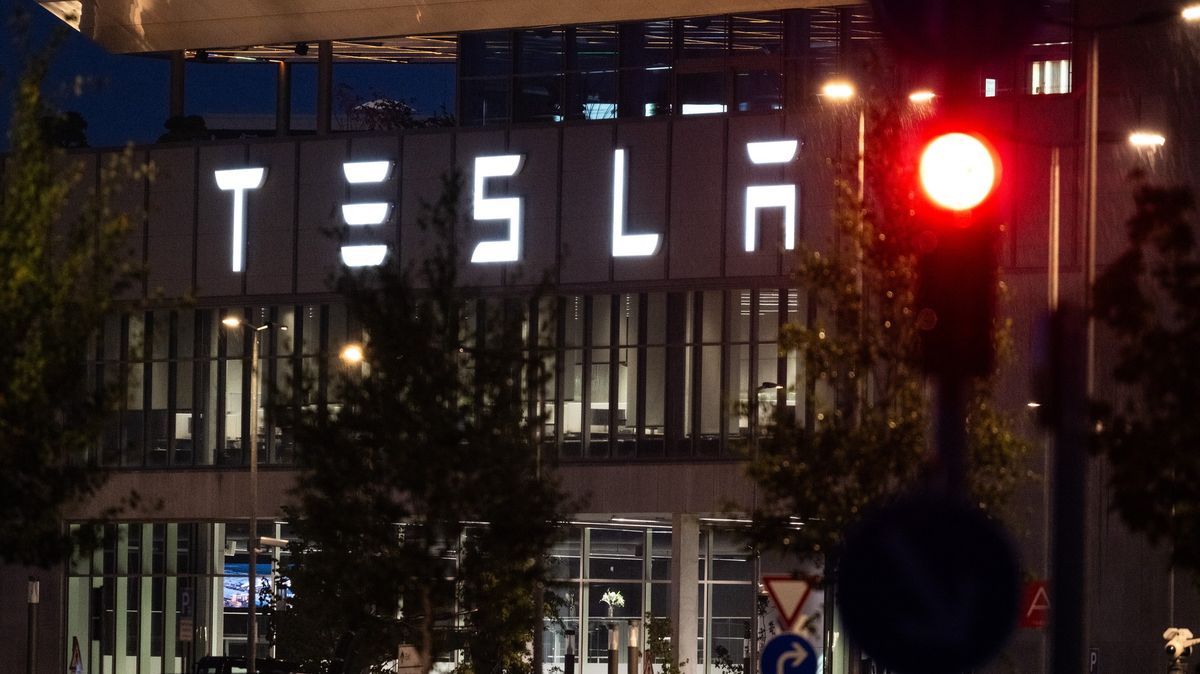 V okolí gigafactory Tesly v Německu bylo vykáceno půl milionu stromů