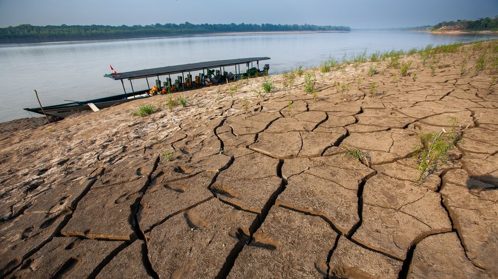 „Změna klimatu je tady.“ Nejhorší sucho v historii trápí Amazonii