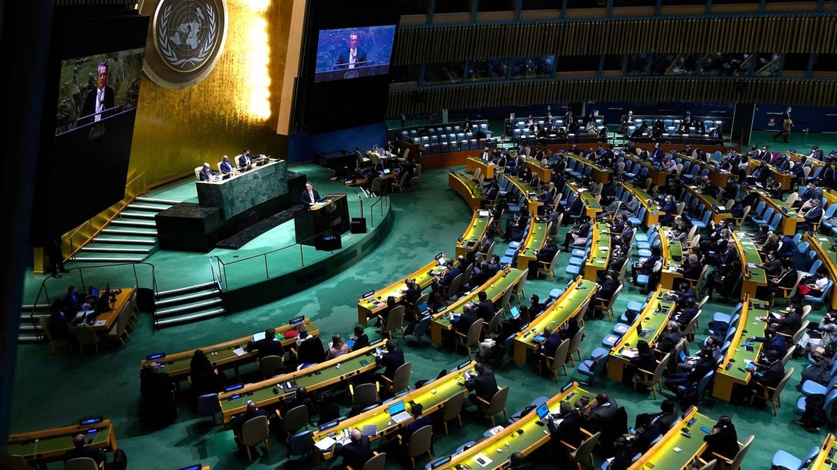 Blok nerozhodných. Kdo a proč v OSN neodsoudil ruskou agresi