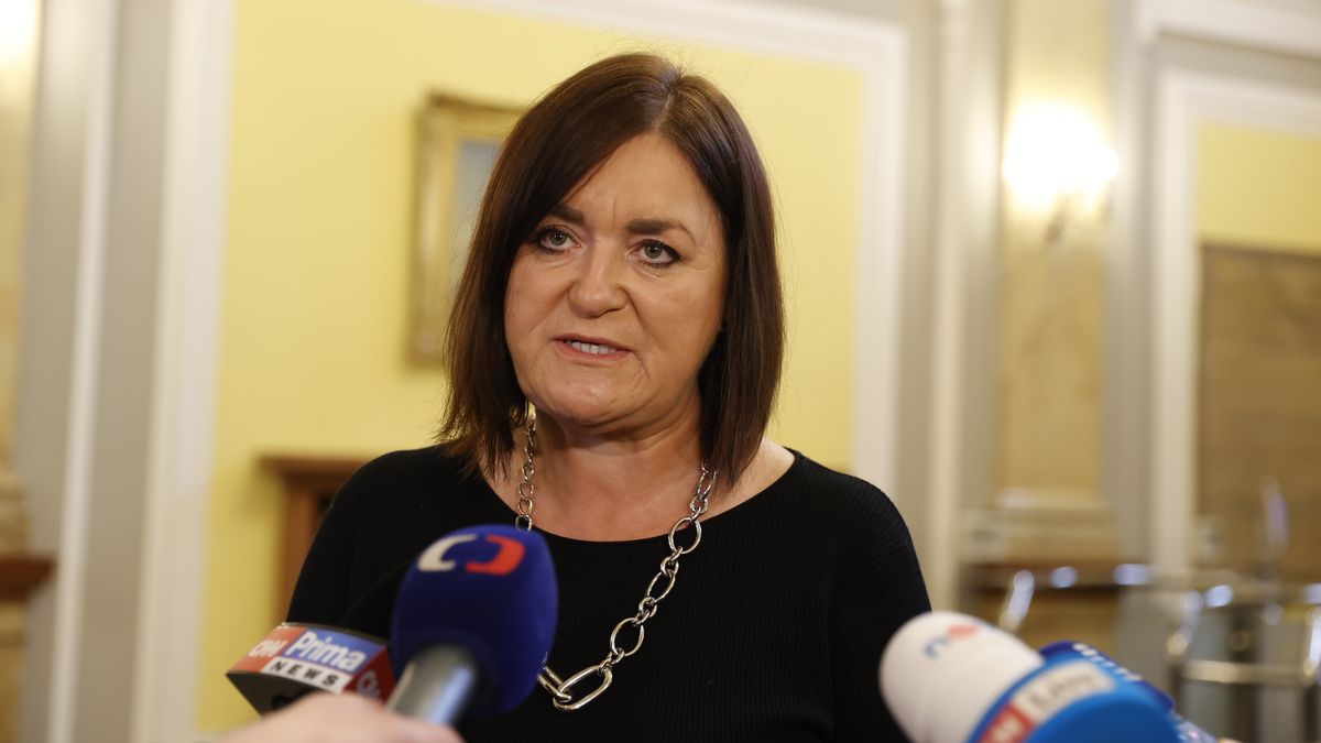 Nový ministr vzejde ze čtyř kandidátů. Na výběr je Tuleja nebo Havel