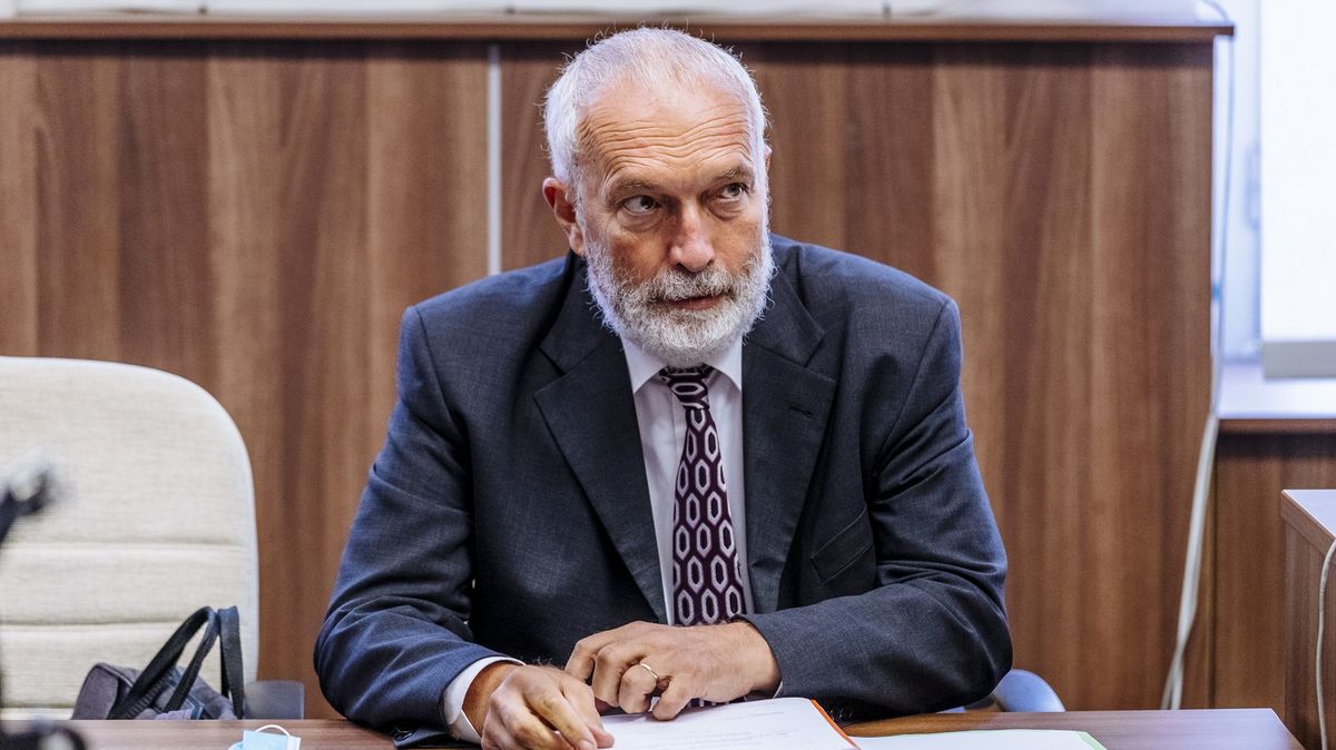 Bývalý ústavní soudce: Návrh hnutí ANO bude formálně odmítnut. Kvůli senátorům