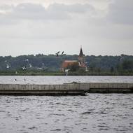 Povodí Moravy tvrdí, že tomu zabrání řadou opatření, třeba umělými ptačími ostrovy. 