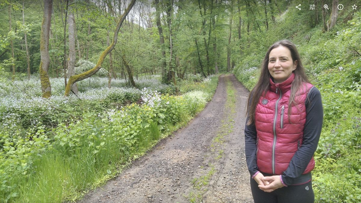 Poblíž Prahy má být národní park. Jako první se probudili spekulanti