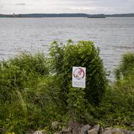 Kvůli ochraně zvířat lidé na některá místa nesmějí. 