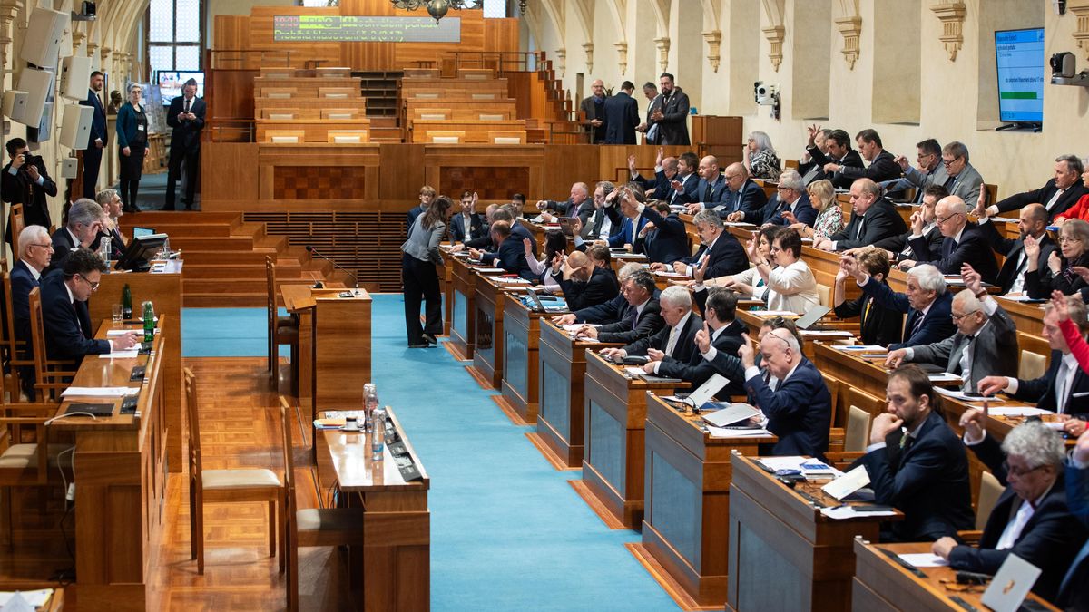 Vetřelec v Senátu. Do paláce se dostal jen den po atentátu na Fica