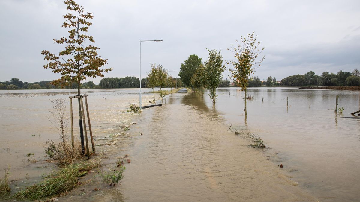 Hladina Odry na německo-polské hranici dál stoupá, čeká se i nejvyšší stupeň