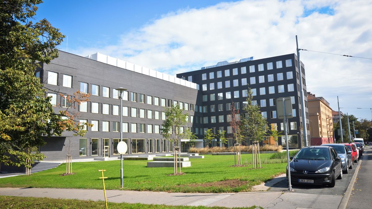 Erotické SMS a sexuální obtěžování. Studenti si stěžují na docenta