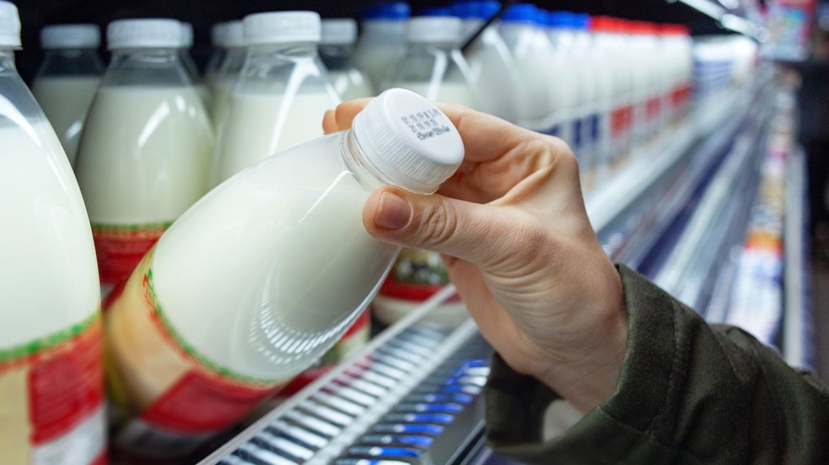 Agrofert jede, jeho mlékárna Olma zvýšila tržby a zisk stoupl na nový rekord