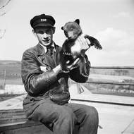 čtk / zoo Praha na historických fotkách / Ošetřovatel s mládětem medvěda. 01.03.1939