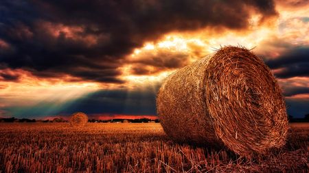 Farmáři ke změnám v rozpočtu: Zemědělství se zhroutí jako dům z karet