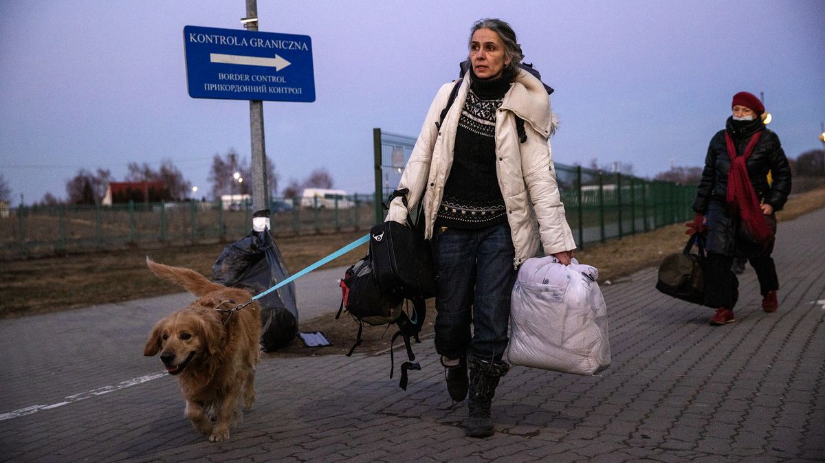 „Nechci říkat, že žárlí, ale…“ Nálada k uprchlíkům se na Ukrajině mění