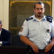 Policie následně navrhla obžalovat Janouška z pokusu o vraždu. Před soudem tvrdil, že svoji oběť neviděl. Nakonec byl v dubnu 2014 odsouzen ke třem rokům ve vězení. Podle soudce Tomáše Kubovce nechtěl Janoušek ženu zabít, ale jen od nehody ujet. 