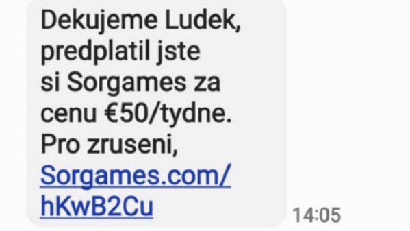 Kybernetických podvodů přibývá. PPL varuje před různými typy zločinů