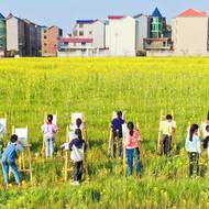 Studenti základních škol kreslí v řepkovém poli, foceno 15. března 2023 v provincii Ťiang-si v Číně.