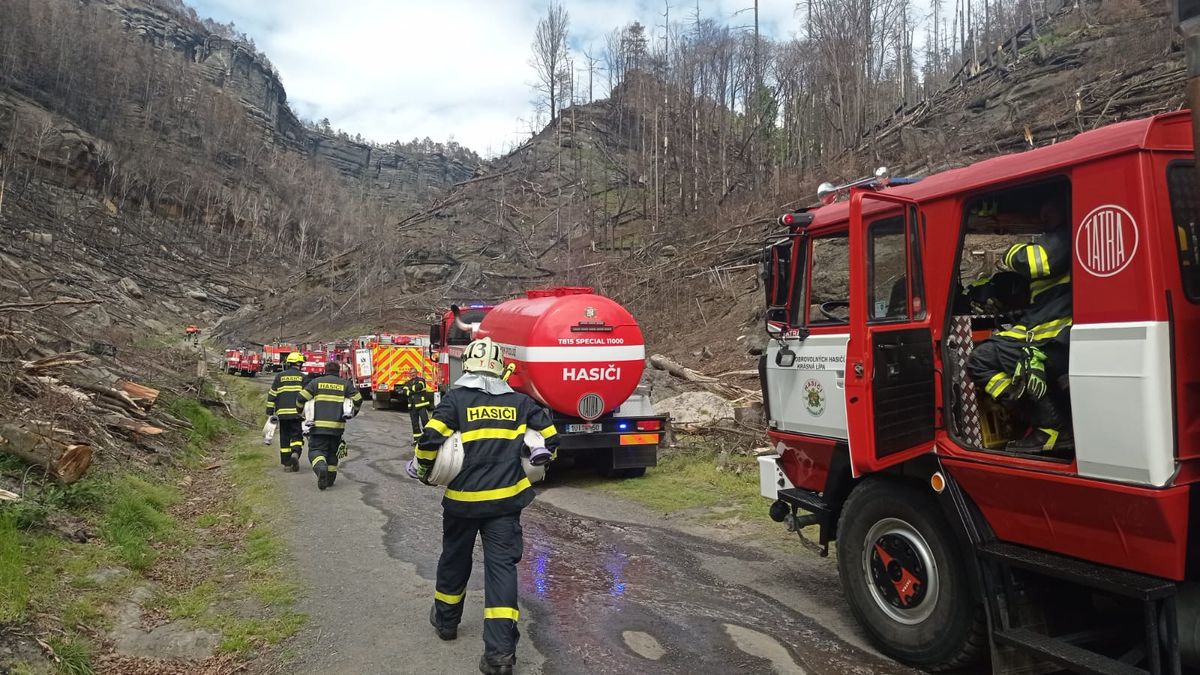 V národním parku České Švýcarsko hoří les, platí druhý stupeň poplachu