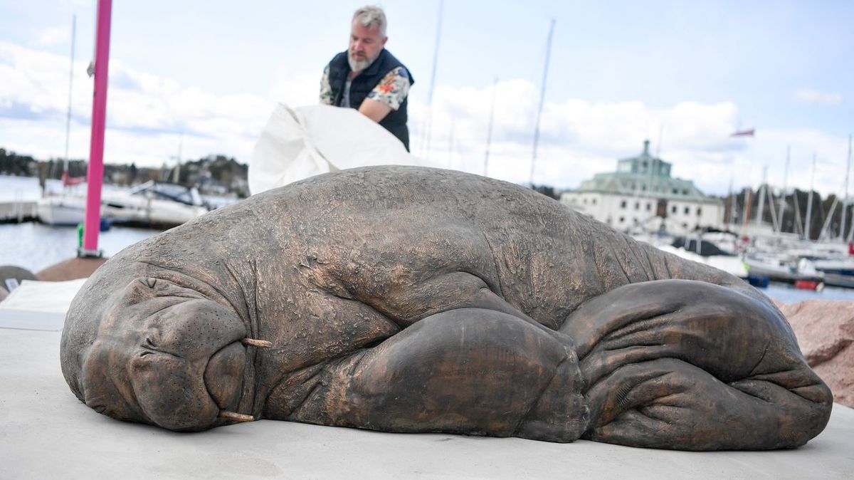 En statue av en avlivet hvalross er avduket i Norge