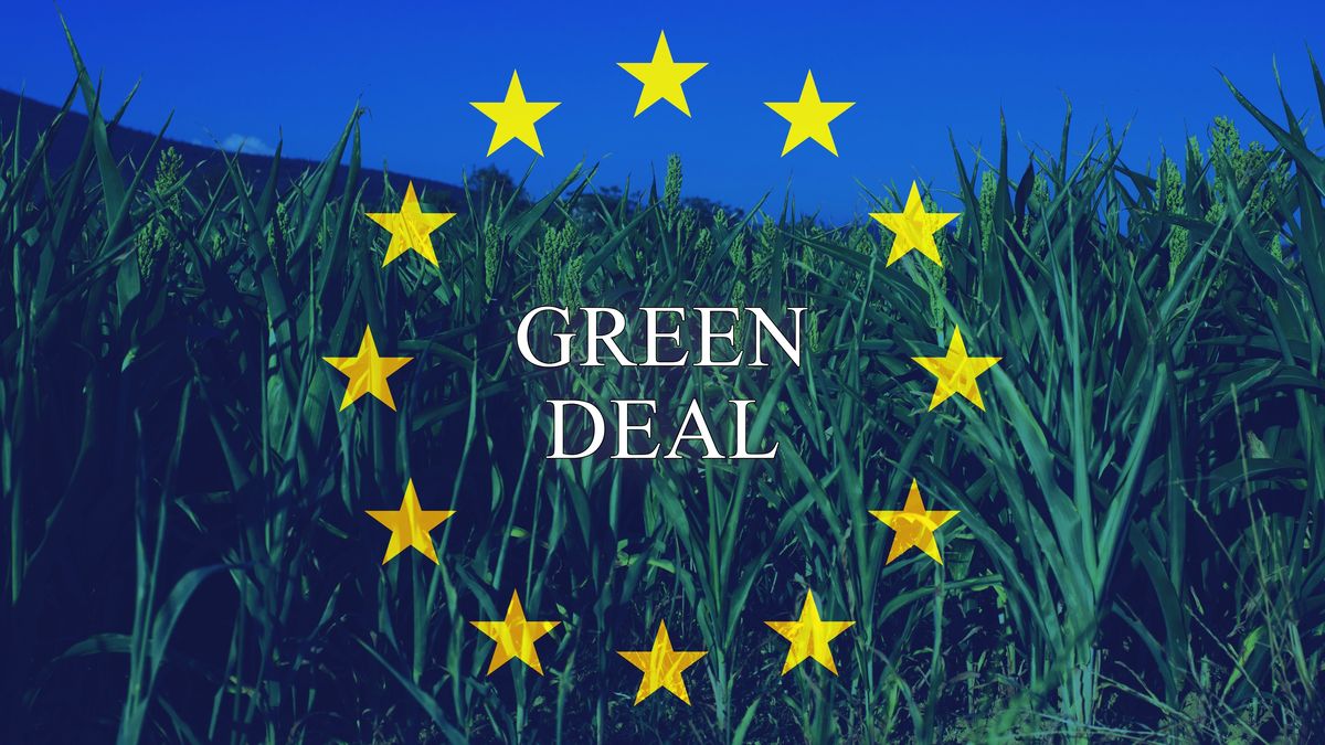 Češi Green Deal nechápou. Zkusíme to změnit, plánují firmy a banky