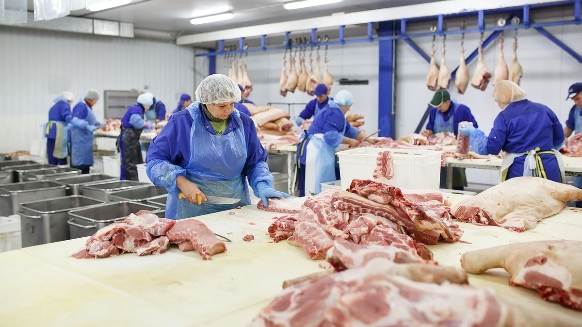 Plán na levné potraviny chce vláda splnit i díky dotacím pro velké výrobce