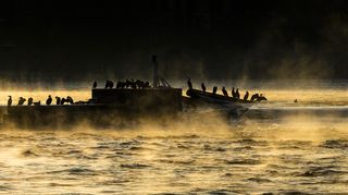 Nejnižší teplotu dnes naměřili opět na Šumavě, minus 15,1 stupně Celsia