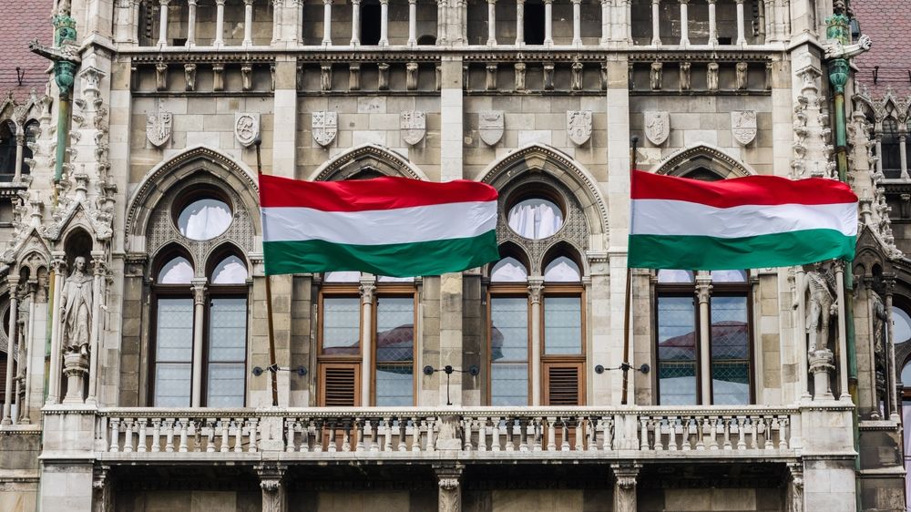 Tisíce lidí v Budapešti demonstrovaly za lepší zdravotní péči
