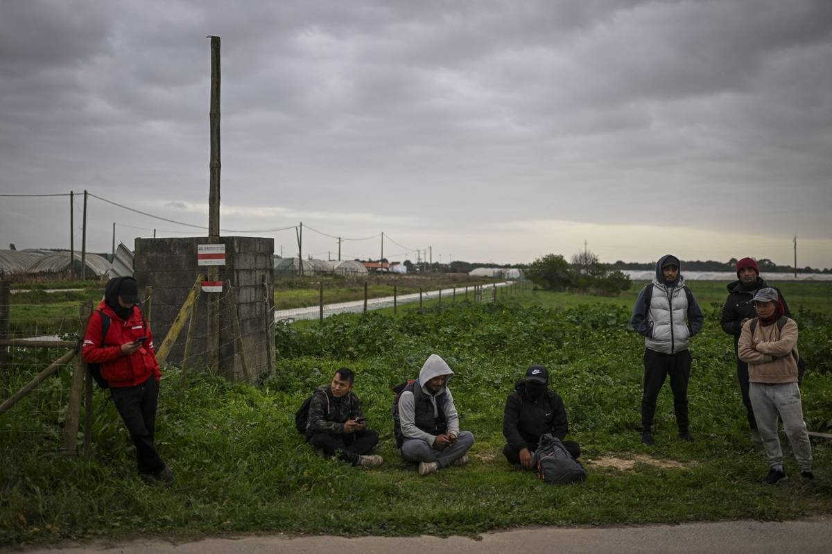 Ovocné sady v Sao Teotoniu udržují v chodu zejména dělníci z jižní Asie, píše agentura AFP. Nepálský přistěhovalec Mesch Khatri se živí sběrem malin a jahod ve sklenících kolem obce Sao Teotonio, jeho manželka Ritu provozuje ve městě kavárnu zvanou Nepali. V oblasti už je víc nepálských a indických restaurací než portugalských.


(Asijští běženci čekají na autobus v Sao Teotonio, 16. ledna.) 