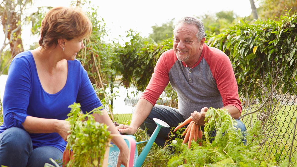 Rázný důchodový zlom: Hromadné odchody do předčasné penze skončily