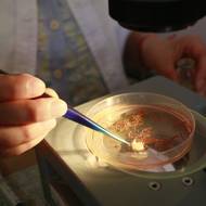 Ve své laboratoři ve městě zkoumá změny postihující jezero a jeho ekosystém vědkyně Olga Charipovová. „Balchaš je největší rybářskou nádrží v zemi. Když však klesne hladina vody, klesne i množství ryb, protože se naruší podmínky pro jejich rozmnožování,“ vysvětlila agentuře AFP.