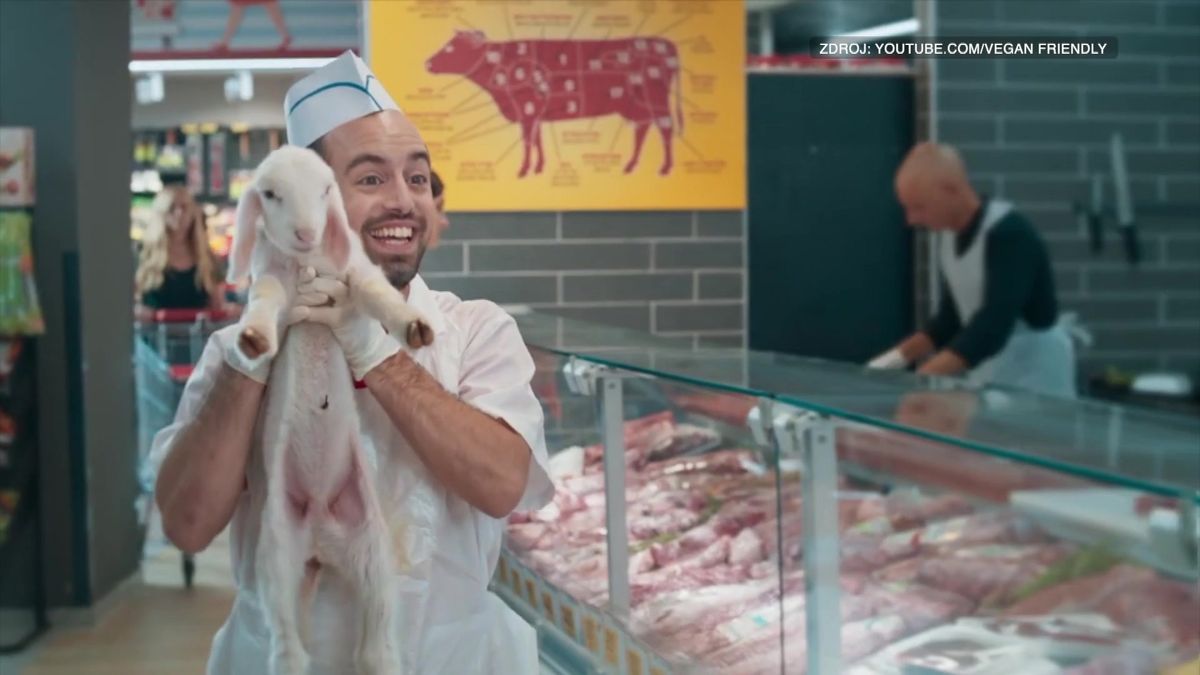 Chci to maso extra čerstvé! Reklama s jehnětem nabádá k veganství