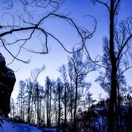 Národní park České Švýcarsko pod sněhem.