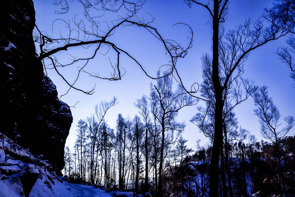 Národní park České Švýcarsko pod sněhem.